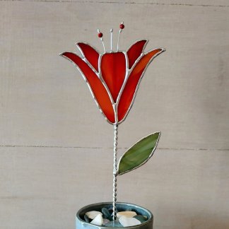 Décor floral - Lys flamboyante