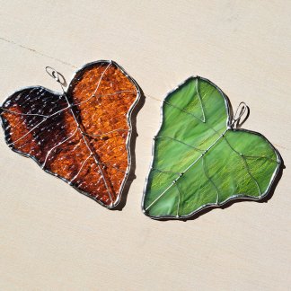 Feuilles grimpantes