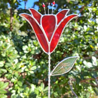 Décor floral - Lys flamboyante