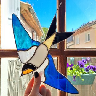 Hirondelle bleu canard