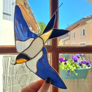 Hirondelle bleu nuit