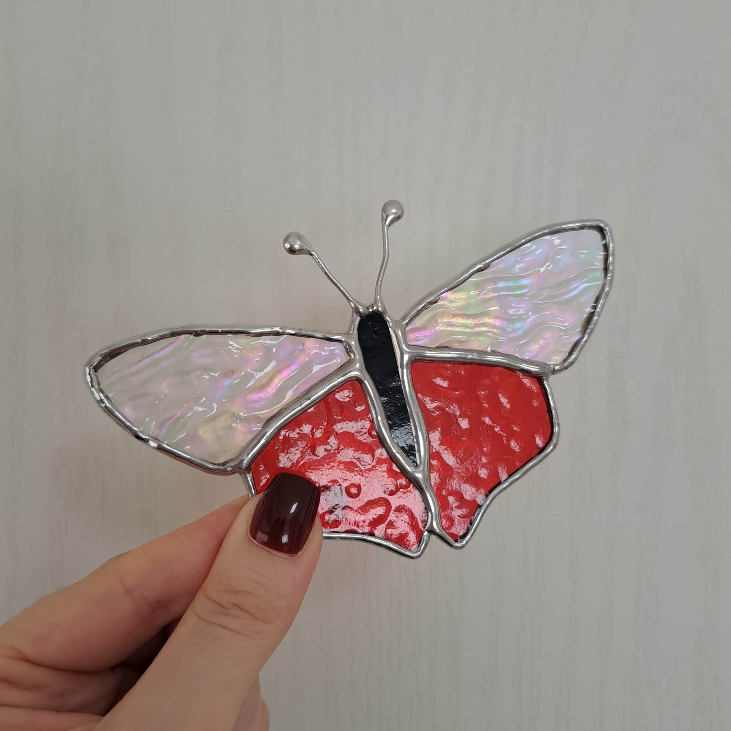 Papillon timide – Image 4