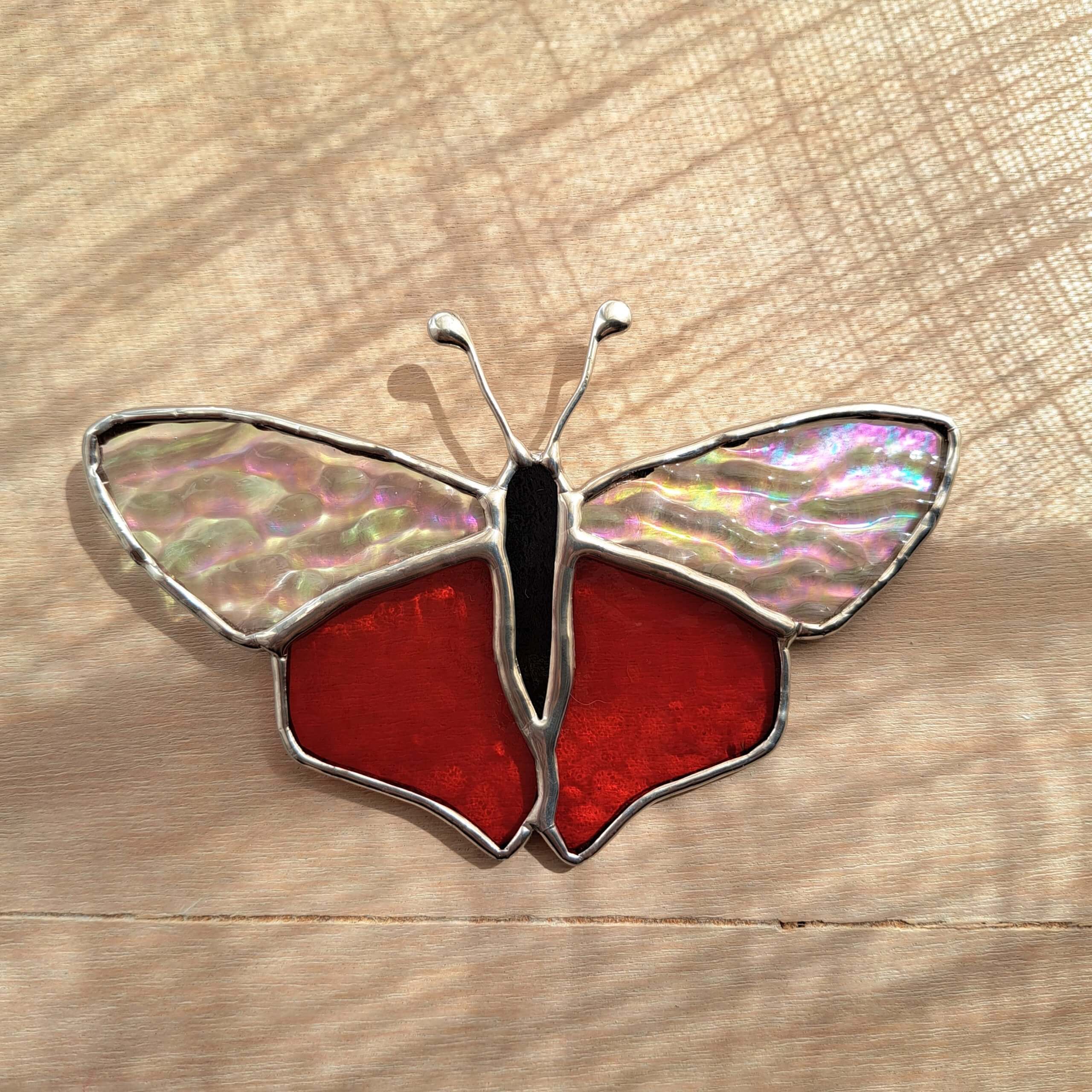 Papillon timide – Image 2