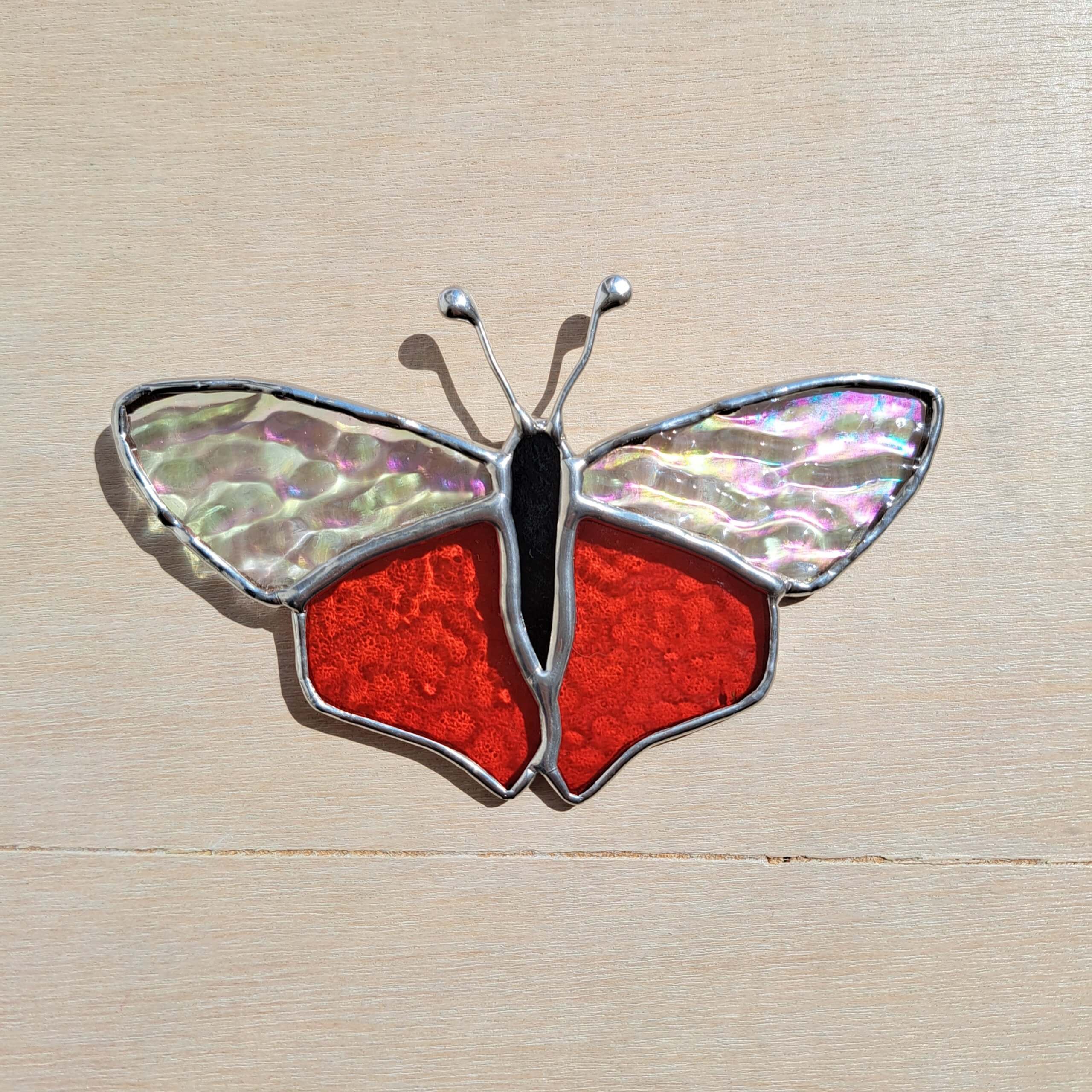 Papillon timide