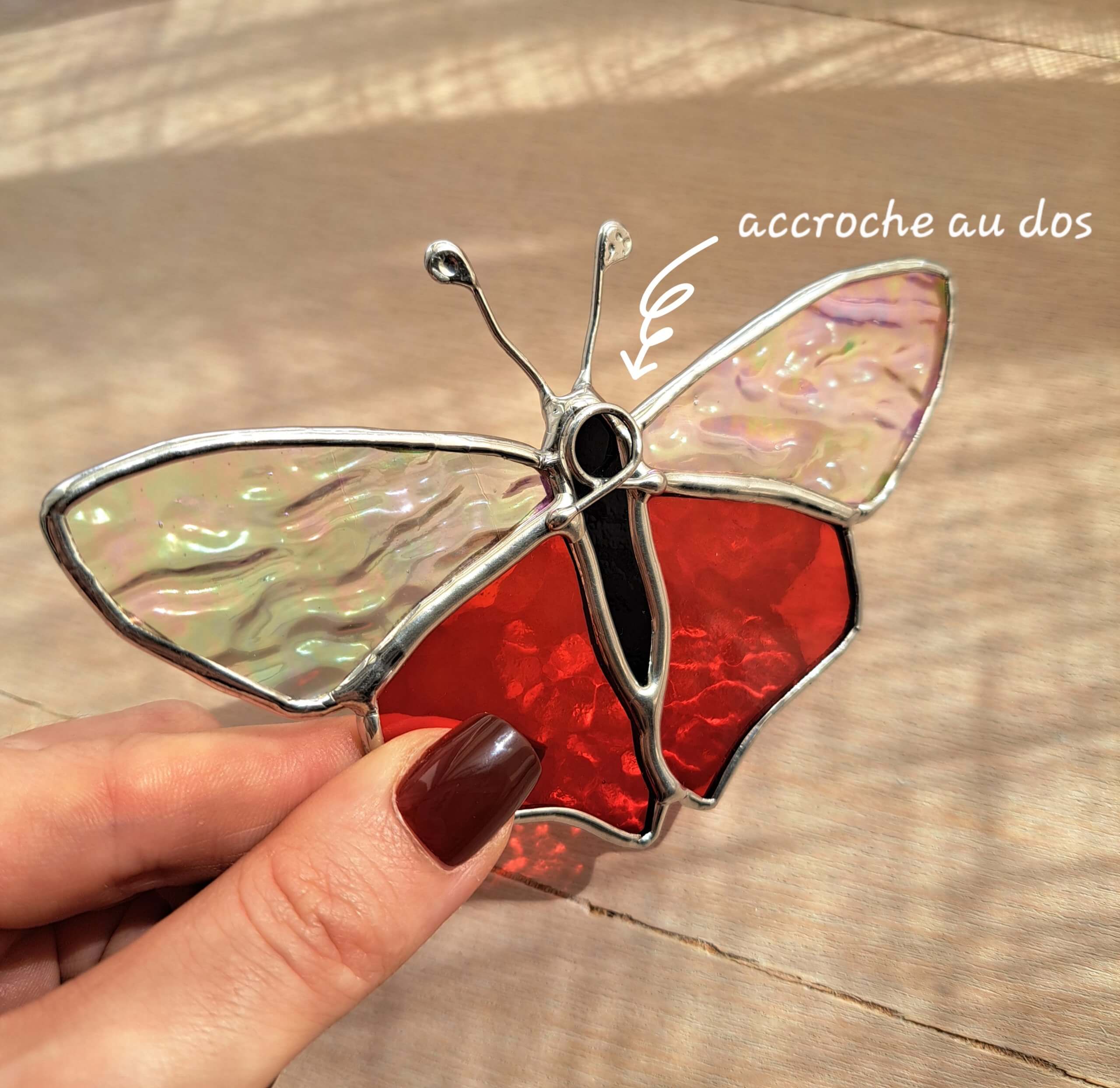 Papillon timide – Image 7