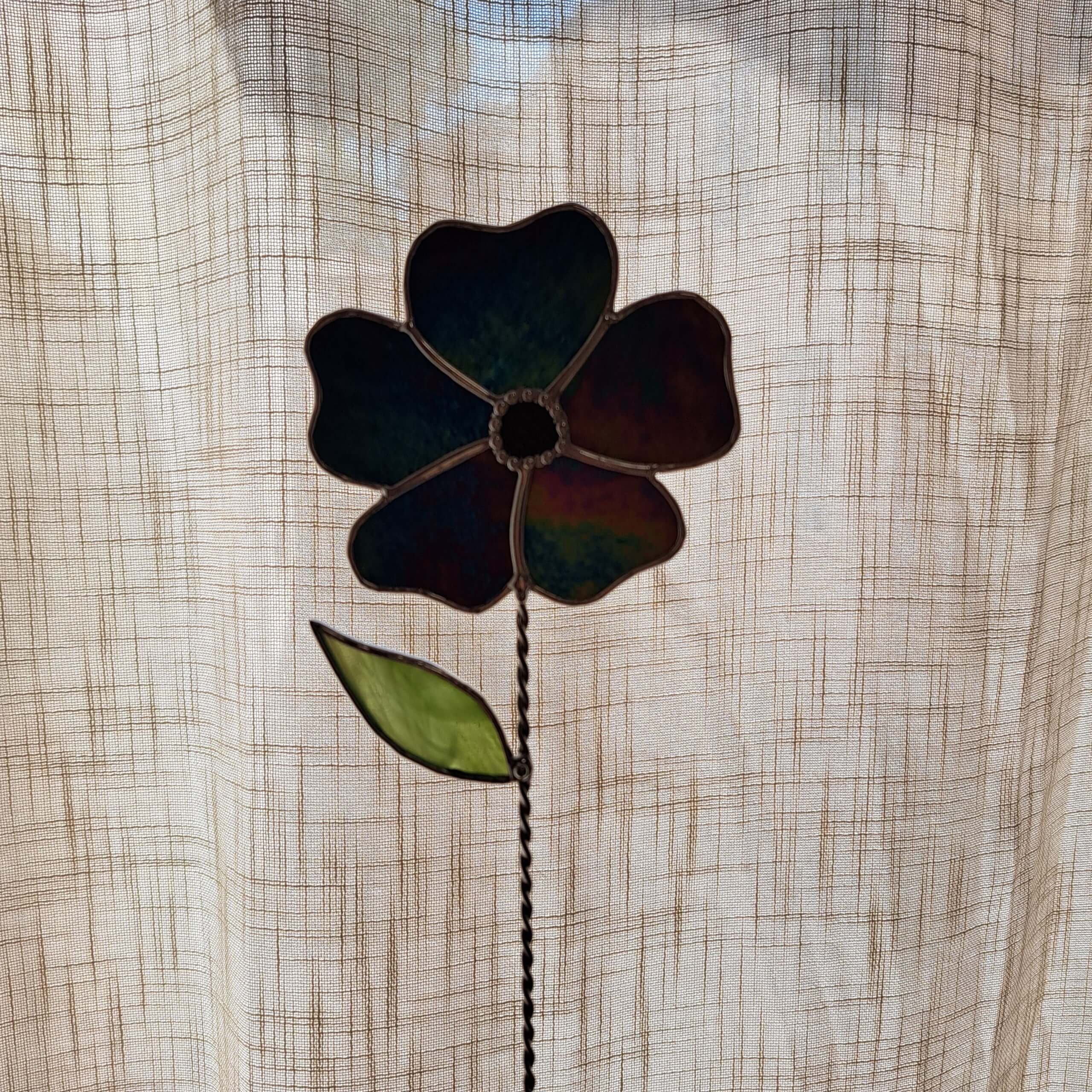 Fleur irisée – Image 9