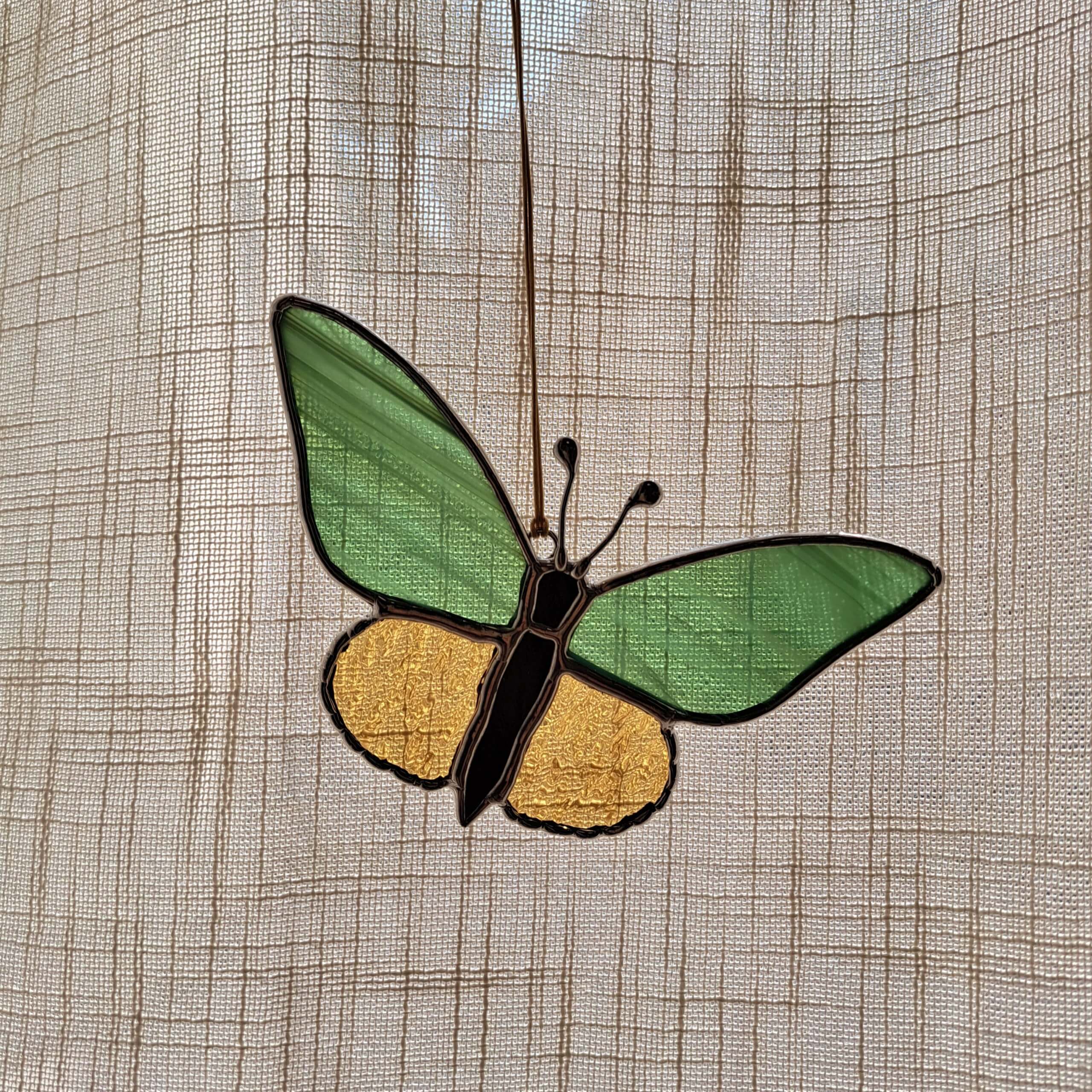 Papillon jaune et vert – Image 6