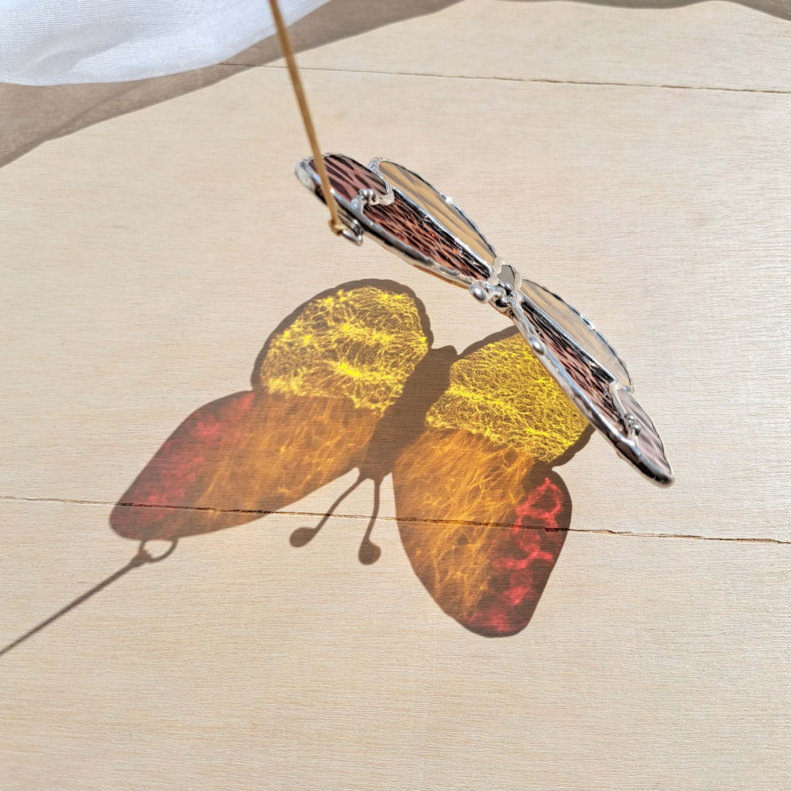 Papillon jaune-orange – Image 5