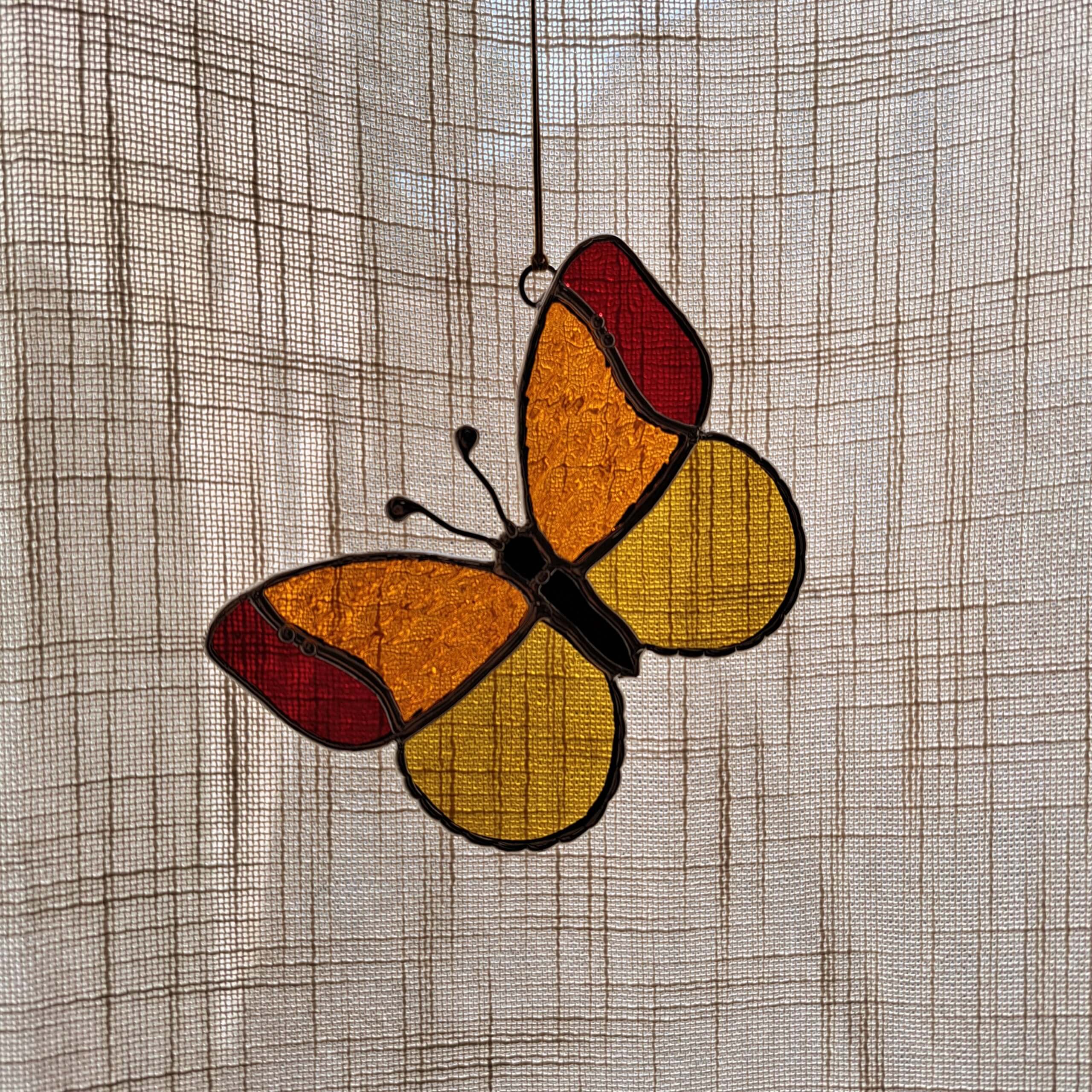 Papillon jaune-orange – Image 7