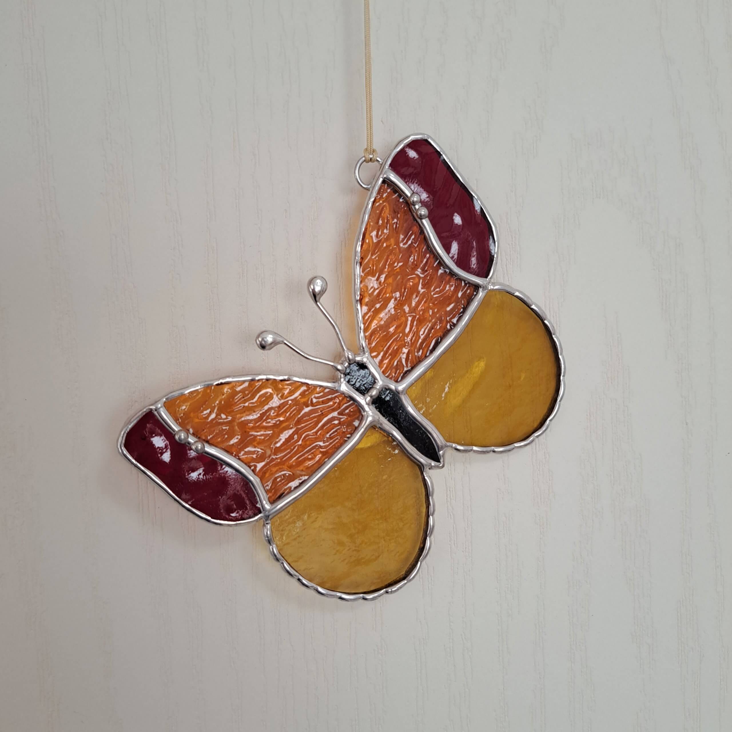 Papillon jaune-orange – Image 6
