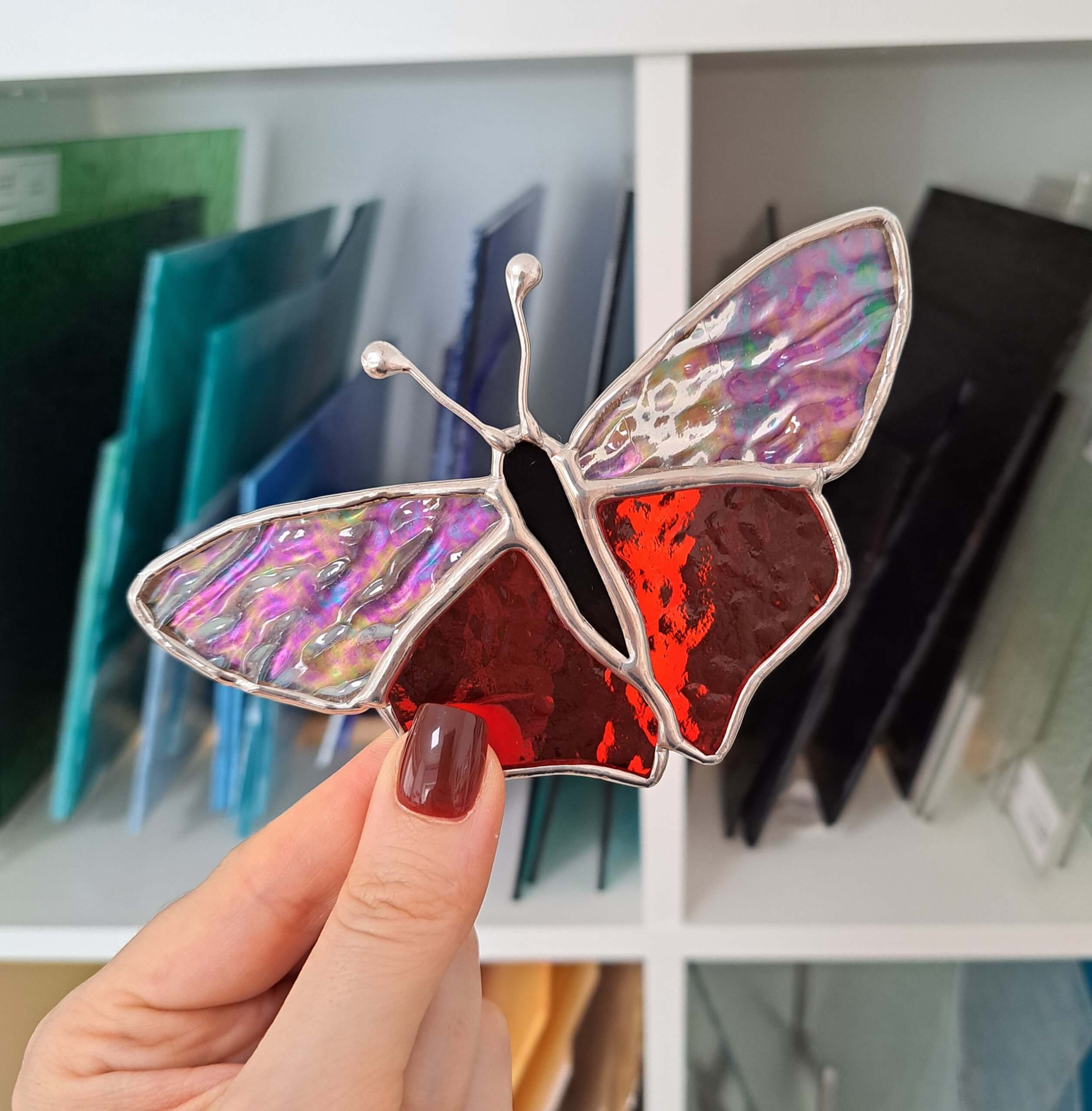 Papillon timide – Image 3