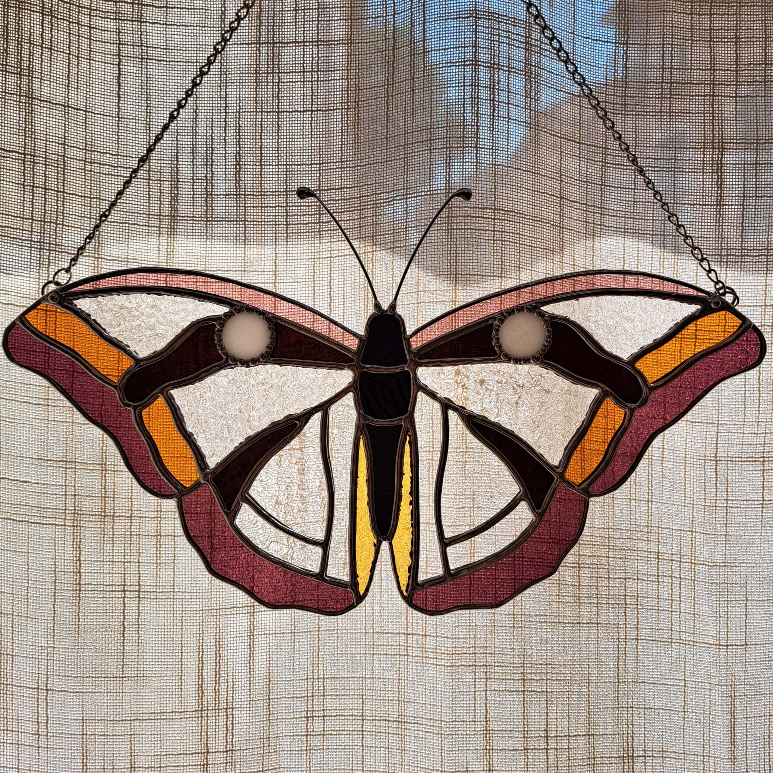 Papillon transparent – Image 8