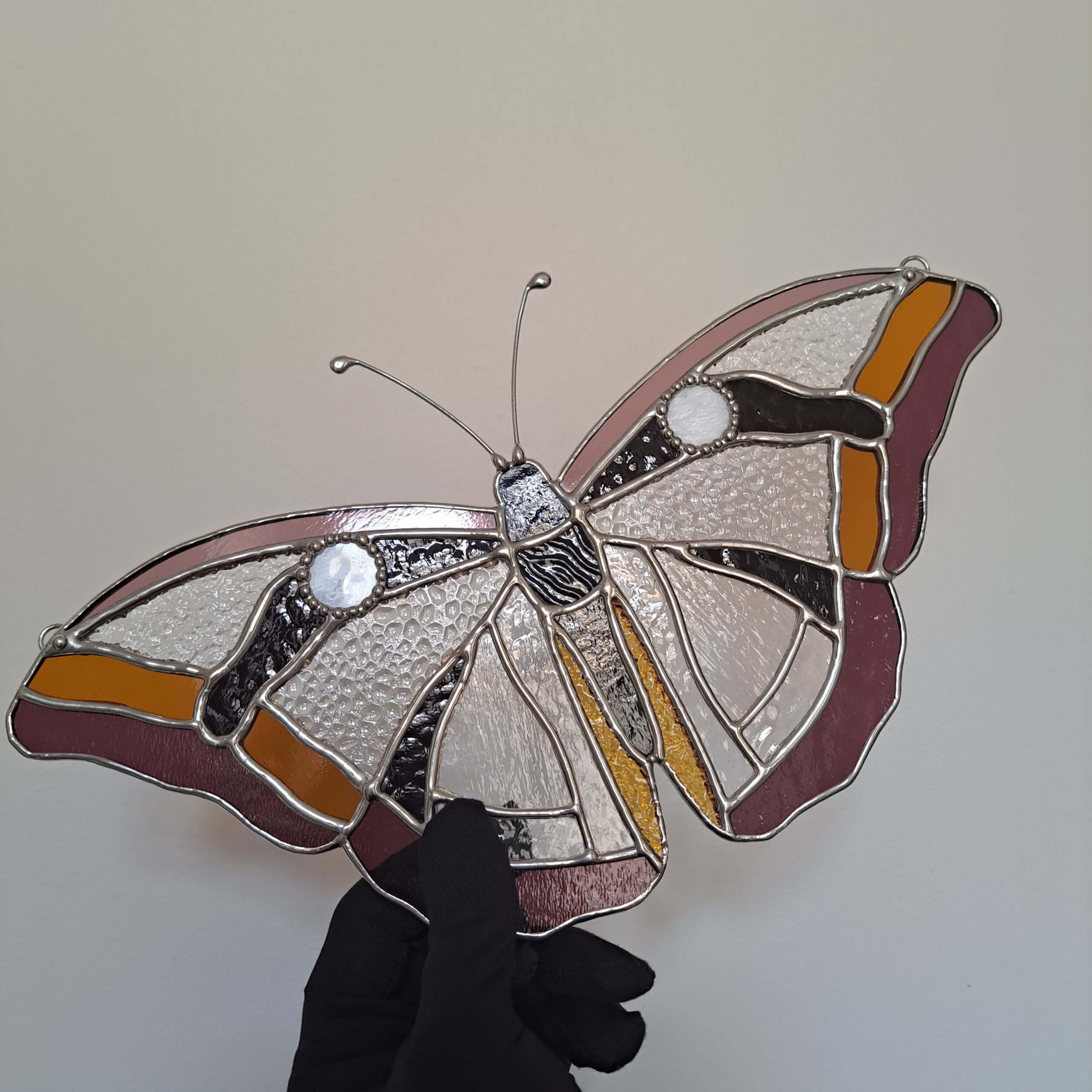 Papillon transparent – Image 4