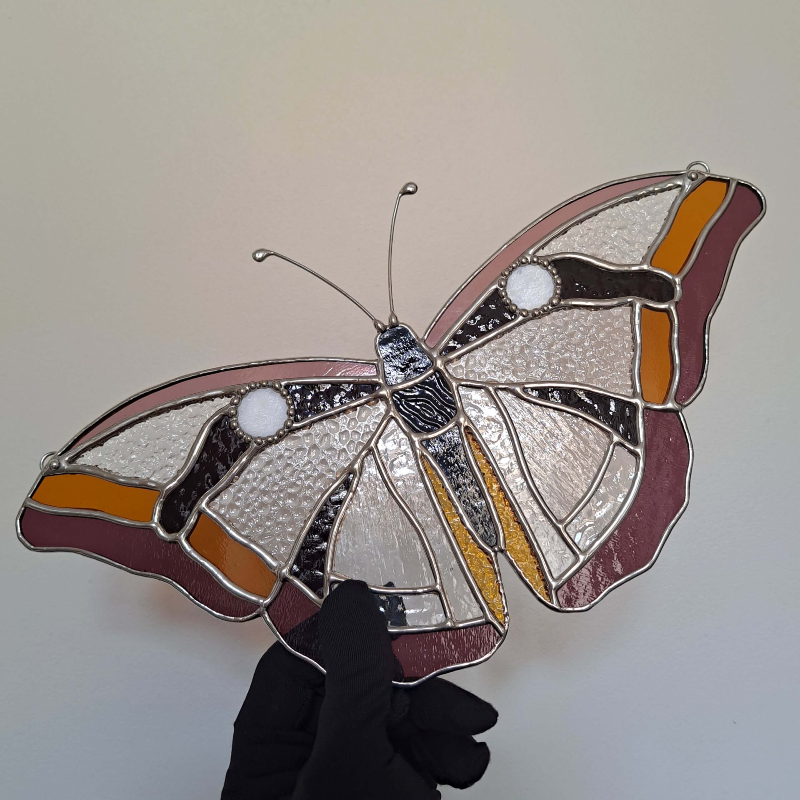 Papillon transparent – Image 3