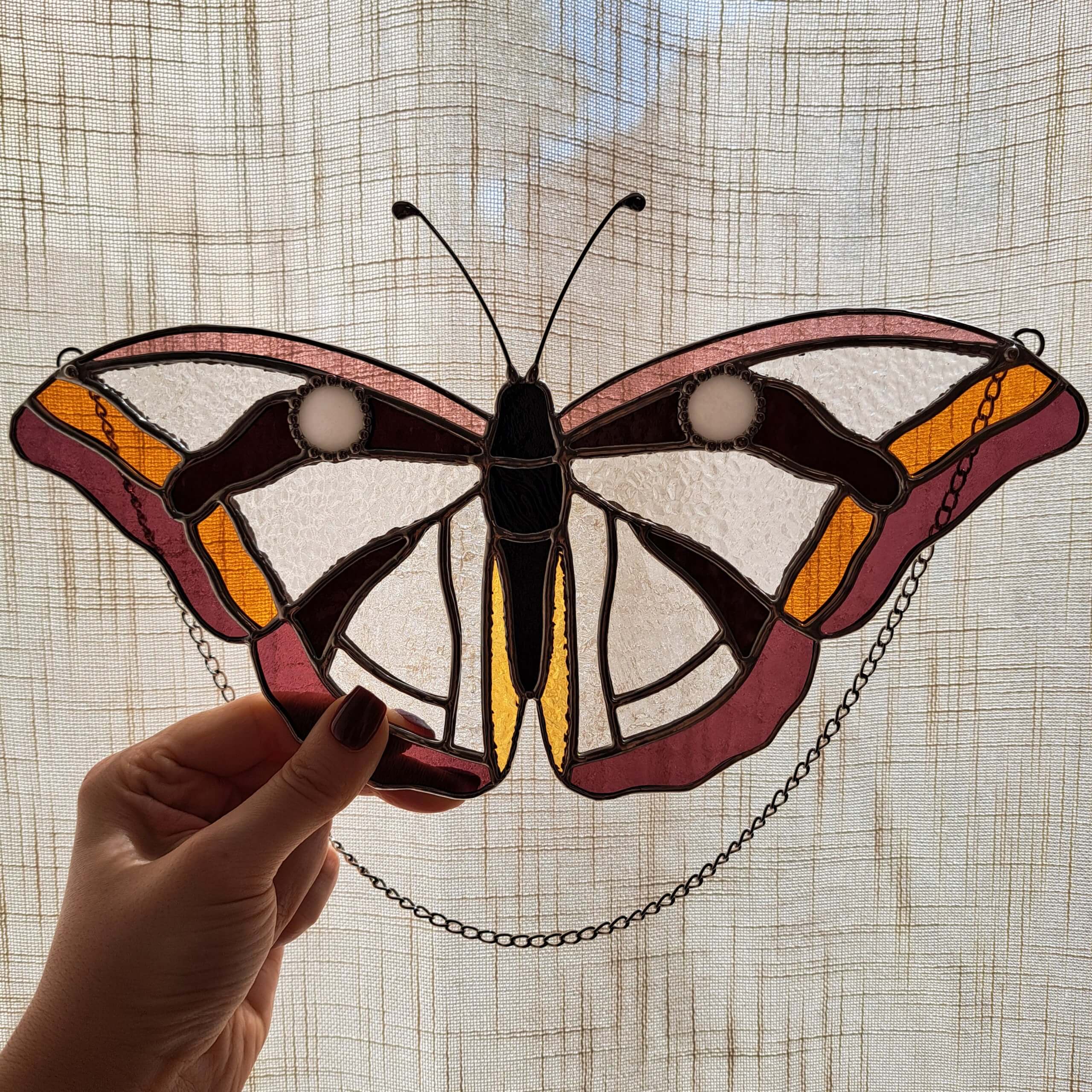 Papillon transparent – Image 7