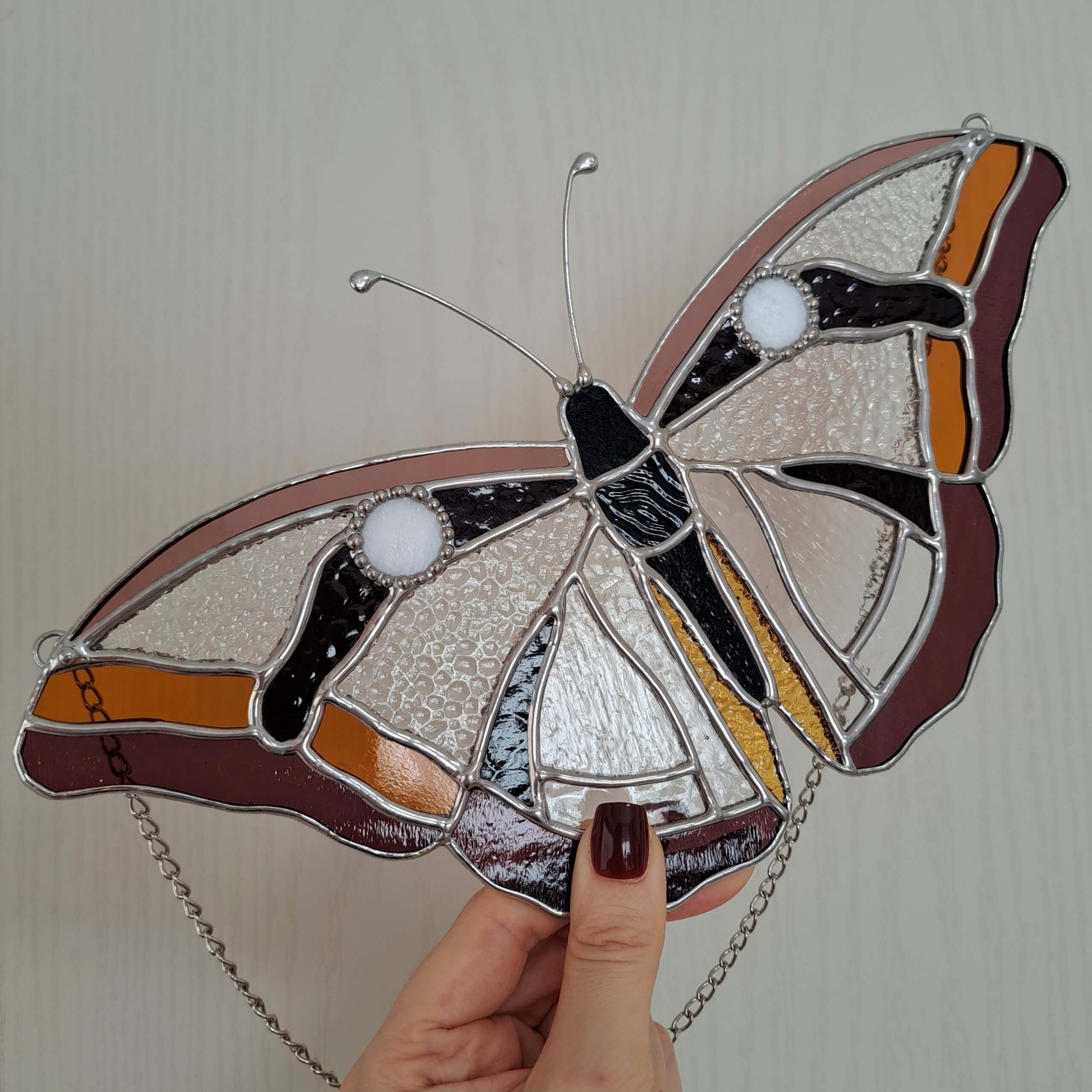 Papillon transparent – Image 2