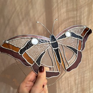 Papillon transparent