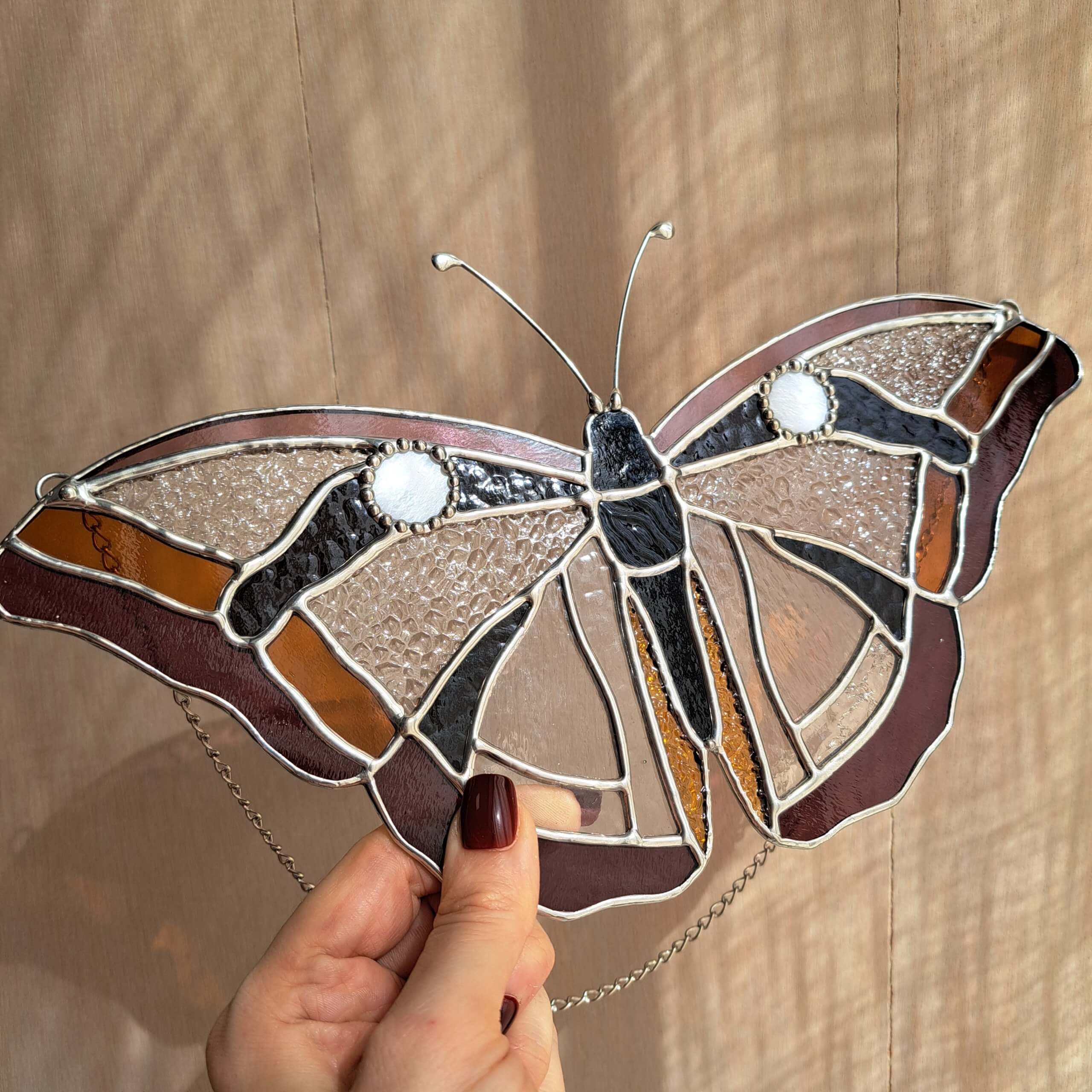 Papillon transparent